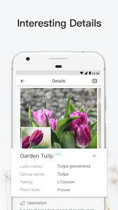 Ios, android garden answers is a revolutionary plant identification app that instantly identifies over 20,000 plants and gives you accurate and detailed information about them. 16 Best Plant Identification Apps For Android Ios Free Apps For Android And Ios