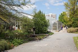 Die anlage im großen garten wurde 1893 eröffnet und ist seit 1949 eine einrichtung der technischen universität dresden. Botanischer Garten Der Tu Dresden Neubau Und Sanierung Hpm