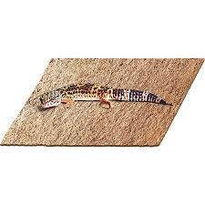sungrow reptile carpet mat for gecko