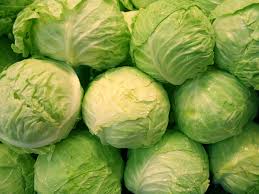 Znalezione obrazy dla zapytania kapusta