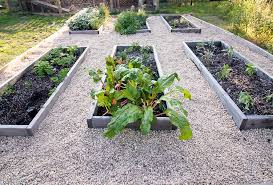 Raised Vegetable Garden With Pea Gravel