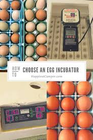 how to choose an egg incubator