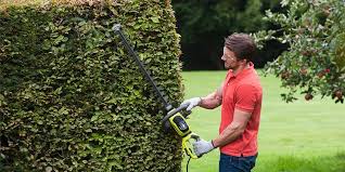 How To Choose The Best Hedge Trimmer