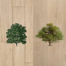 american oak vs european oak flooring