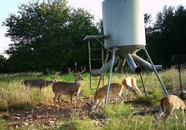 the basics of using deer feeders feed