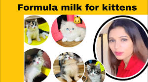 emergency kitten formulated milk