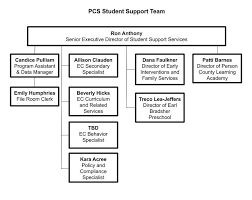 Organizational Chart Organization Of Central Services