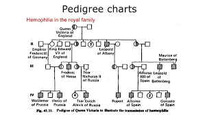 Solved Genetics Below Is A Pedigree Chart Illustrating Th