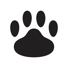 dog paw vector icon logo bear cartoon