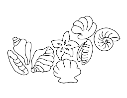 Size this image is 34172 bytes and the resolution 396 x 512 px. Seashells Coloring Pages Free Printable Coloring Pages Free Coloring Pages Applique Quilt Patterns Free Applique Patterns