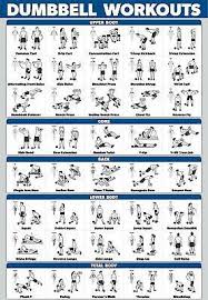 Dumbbell Exercise Poster Vol 2 Laminated Workout Strength