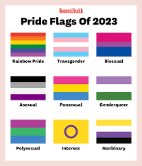 what is the ian pride flag colors