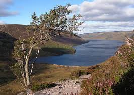 Image result for Loch Muick