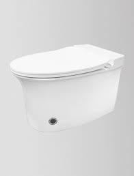 Wall Mounted Water Closet Mysteria