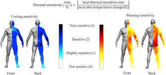 High Density Thermal Sensitivity Maps Of The Human Body