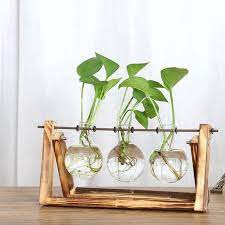 glass vase on a wooden plant stand