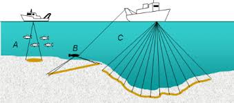 seafloor mapping