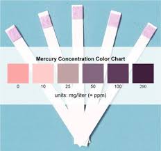 Mercury Test Strips That You Can Use At Home
