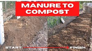 easy composting horse manure no work
