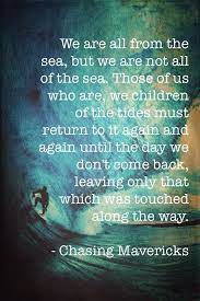 And the top 10 movies. Chasing Mavericks Quote So Beautiful I Had To Make This Wallpaper For It 3 Surfing Quotes Chasing Mavericks Quotes Chasing Mavericks