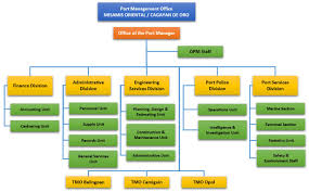 Pmo Organizational Chart Related Keywords Suggestions