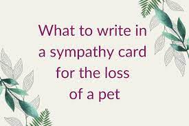 what to write in a sympathy card a