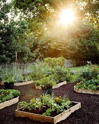 how to build raised garden beds from