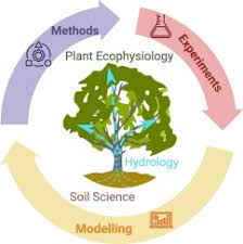 soil plant atmosphere continuum