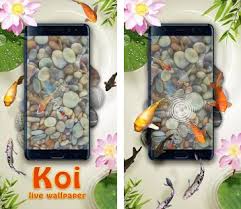 koi pond 3d live wallpaper apk