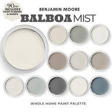 Benjamin Moore Balboa Mist Color