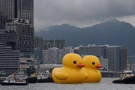 two giant rubber ducks debut in hong