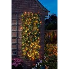 Smart Garden Solar In Lit Ivy