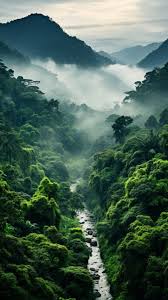 green nature rainforest aesthetic 331