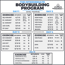 Bodybuilding Workout Chart Free Bodybuilding Workout