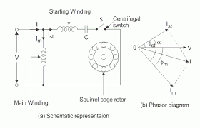 capacitor start induction motor is 1 of
