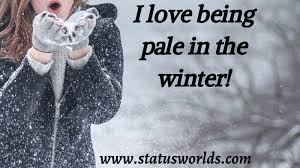 Blues brothers quotes from the musical comedy danielle dahl, lead contributor. 200 Top Level Winter Snowfall Status Caption Quotes 2021 For A Winter Lover Status World