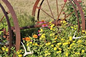Flower Garden And Wagon Wheels Free