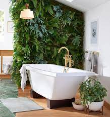 Bathroom Plants Diy Bathroom Bathroom