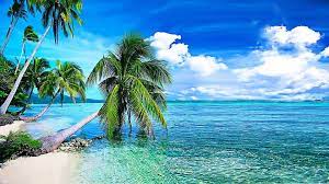 summer background tropical beach with