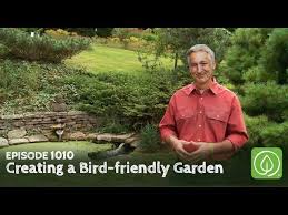 Bird Friendly Garden