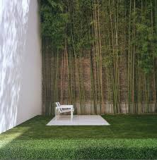 urban garden with bamboo interior