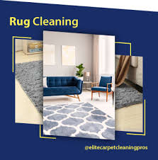 elite carpet cleaning pros