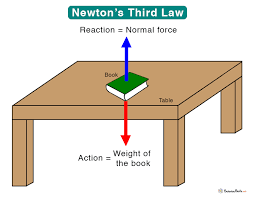 newton s third law statement exles