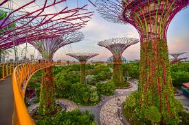 singapore flyer and gardens by the bay