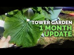 tower garden review epic gardening
