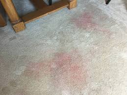 red kool aid stain removal from carpet