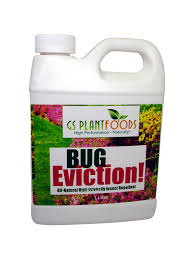 bug eviction organic garden pest