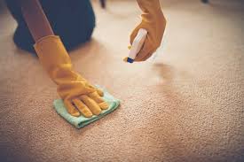 reliable carpet cleaner in chattanooga