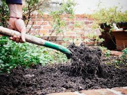 How Deep Are The Roots Of Garden Vegetables Garden Betty