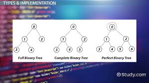 Each root is said to be the parent of the roots of its subtrees. Binary Trees Applications Implementation Video Lesson Transcript Study Com